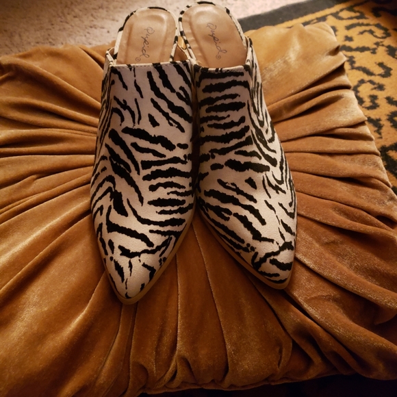 Brand New Cupid Zebra Striped Mules! - Picture 3 of 9